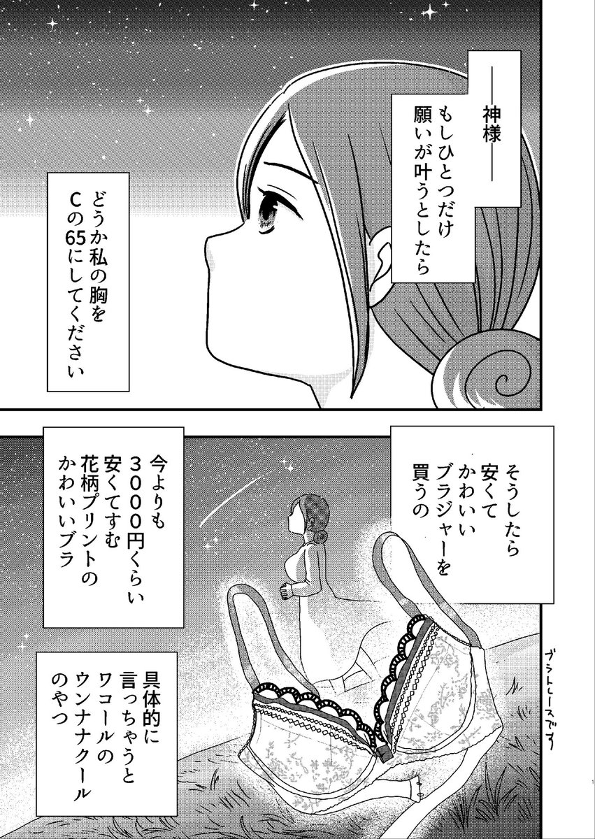 神様どうか私の胸をcの65にしてください 胸の大きな女性特有のお悩みマンガ かわいいデザインが無い 全部高い そもそも種類がない Togetter