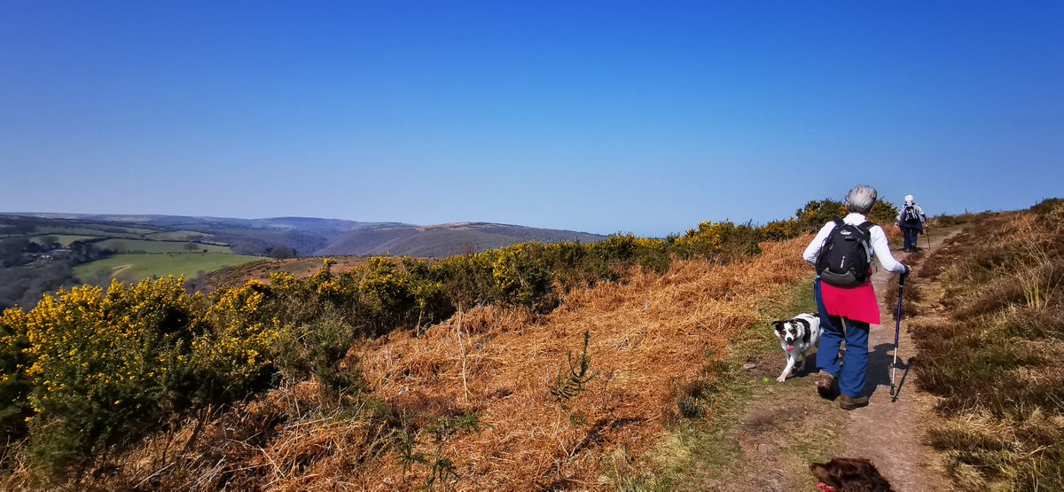 Simonsbath House tweet media