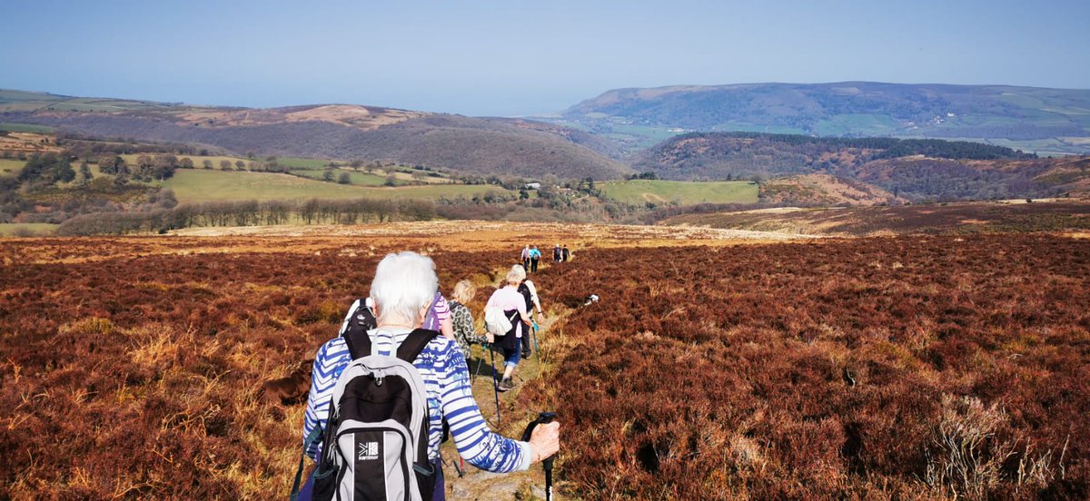 Simonsbath House tweet media