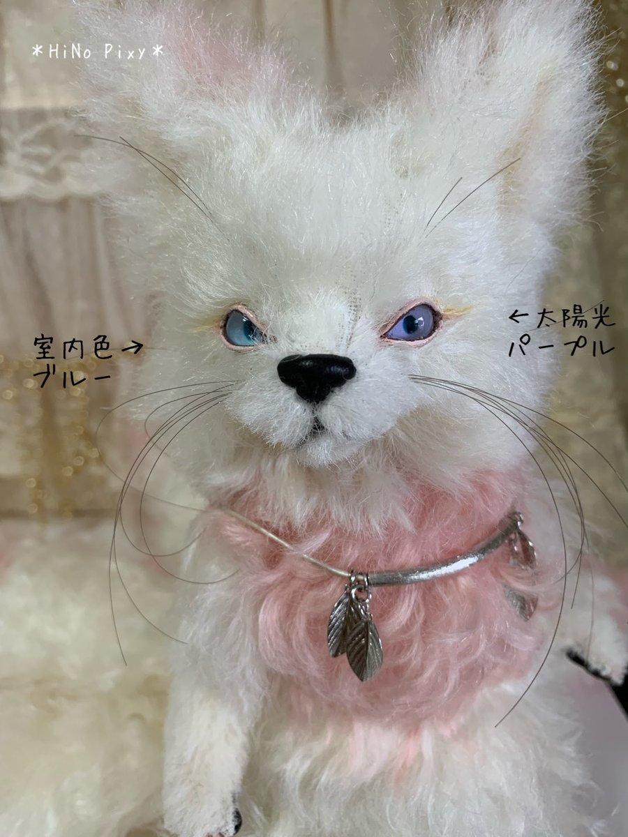 Cuddlyオリジナル – Cuddly公式オンラインショップ HiNo pixy ねこ