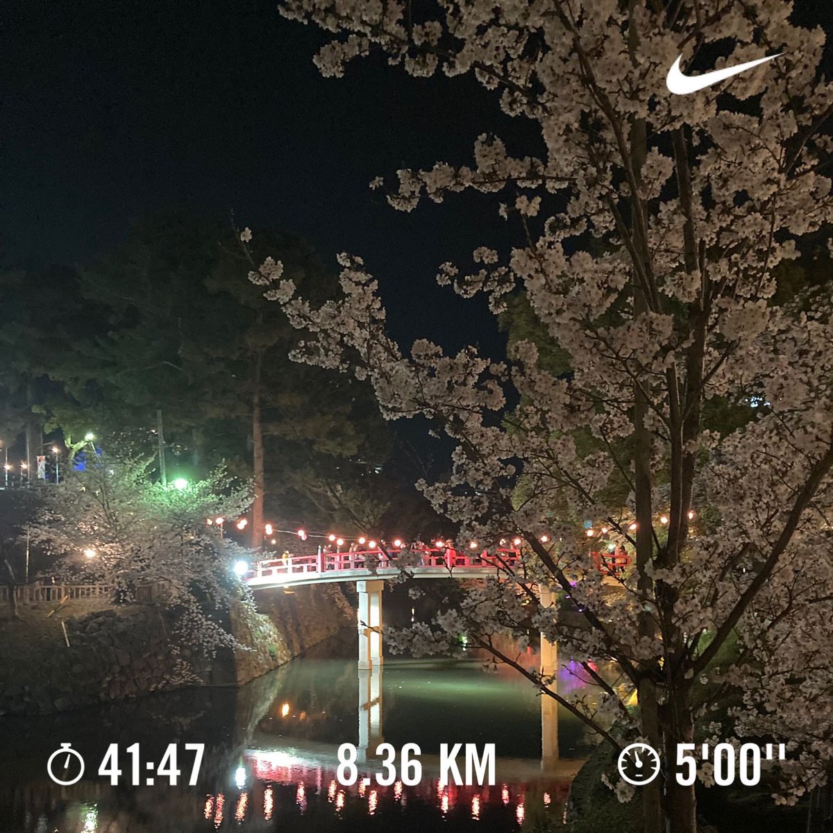 VirtualRunMsCl1's tweet image. #run #runner #Treadmill  #Japan # CherryBlossoms #Sakura #ラン #ランナー #朝ラン #夜桜 #お花見 #桜　#ランニング好きと繋がりたい