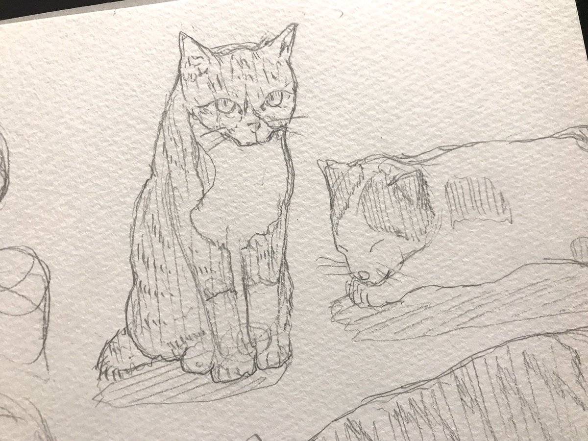 猫ばっかり描いてしまうな 