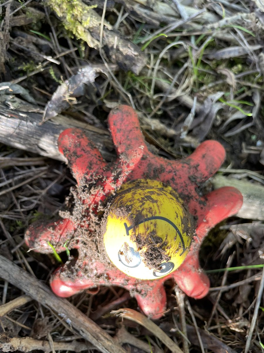 sarahbontour's tweet photo. An early morning womble. 20 bags between us as well@as the usual@grot. This is the best weโve ever found this location so hopefully it means weโre making a difference. #littering #litterpick #womble #lovewhereyoulive #SpringClean2022 #springtime https://t.co/5uJS8yL4e4