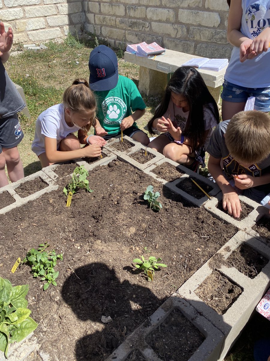 Spring planting! Love our time in the garden. #IamDSISD #sycaMOREyr5