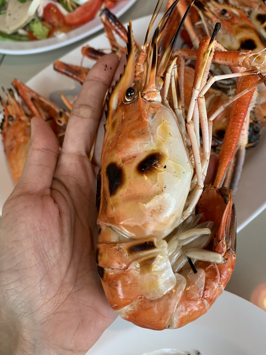 thing_where_day's tweet photo. เจี๊ยบ 981 กุ้งสดปลาเป็น บางกรวย นนทบุรี
กุ้งมีให้เลือกหลายไซส์ เล็ก กลาง ใหญ่ จัมโบ้ เราสั่งไซส์จัมโบ้มาทาน 8 ตัว ราคา 600+ เผากำลังดี ไม่แห���งเกิน เนื้อนุ่มเด้ง มันส์เยิ้ม น้ำจิ้มเด็ด ใช้ของสดใหม่ รสชาตดีอร่อย ราคาไม่แพง พนักงานบริการดีมาก
@aroii @ReviewAroii @Kin24hrs https://t.co/bgoRKdV3tk