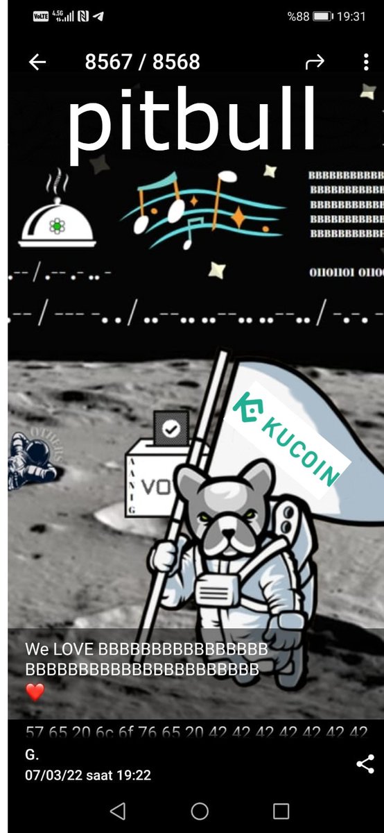 YucelInel's tweet photo. @BscPitbull_TR @kucoincom https://t.co/S9L1b31jWh