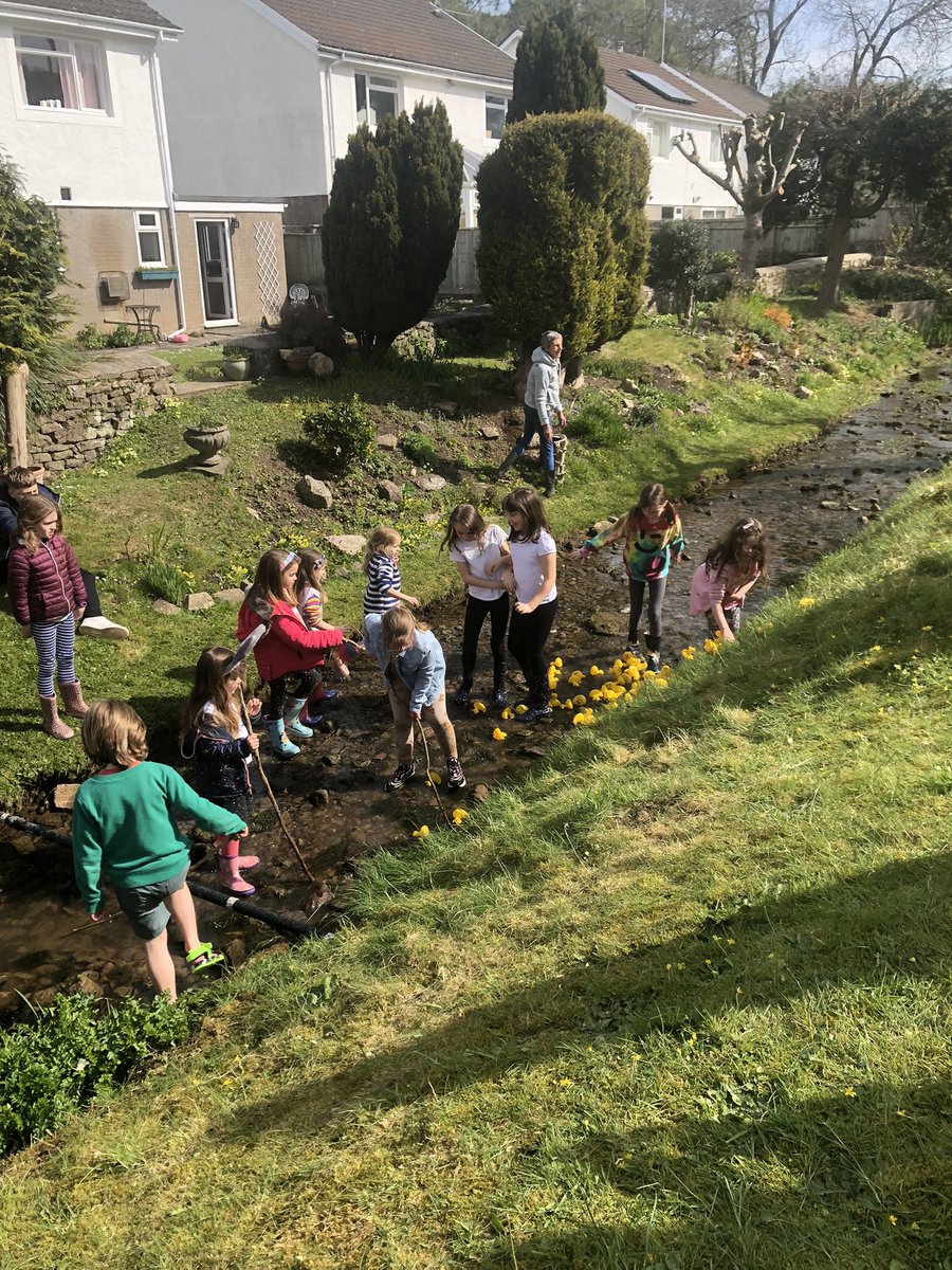 pilipilipala's tweet photo. râs hwyaid y pentre heddi. braf i weld cymaint o bobl. village duck race #aberthin https://t.co/48201VaYT4