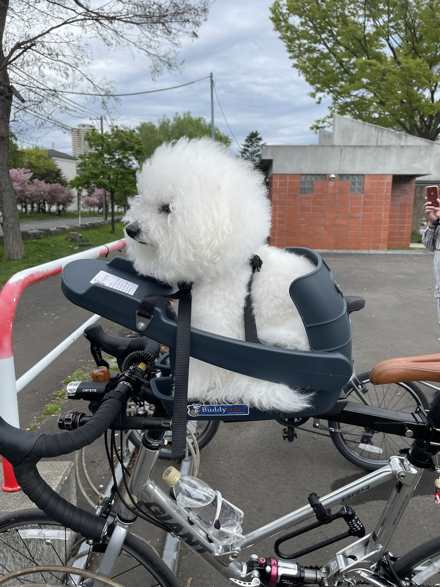 バディライダー BuddyRider （レンタル] Buddy Rider シリーズ2