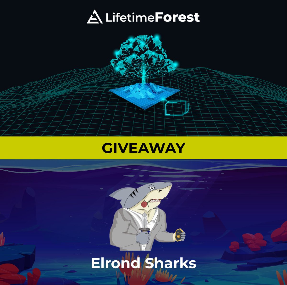 LifetimeForest's tweet photo. 🎁  #Giveaway  🎁
🌊🌳Environmental Giveaway
⬆️⬇️On &amp; Under Water

🌳 2 Space Edition 
🦈 1 Justice Shark + 5 WL Spots 
 
✅  Follow 
@LifetimeForest

 &amp; 
@ElrondSharks
 
✅  Like ❤ &amp; RT🔃
✅  Tag 3 friends 

⏰ 48h

#Elrond  #ElrondCommunity #ElrondNetwork #ElrondNFT #Giveaways https://t.co/48WeUOozZA