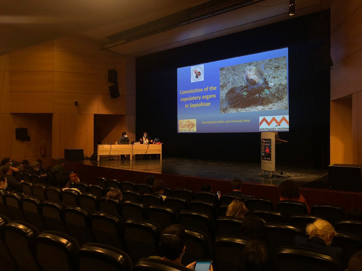 CIAC2022 tweet media