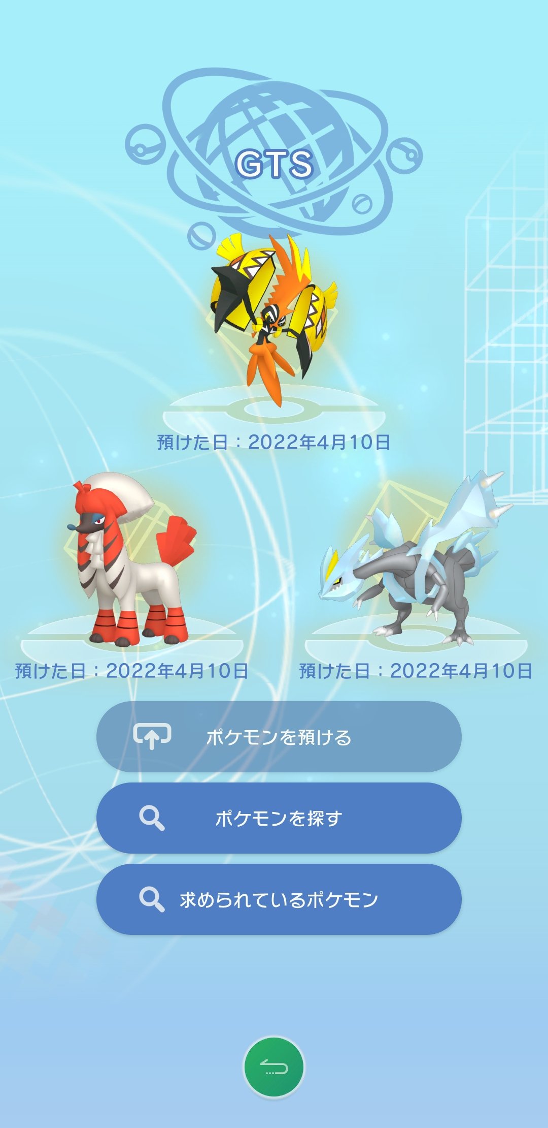 柴犬の魔法使いですちふぇるち この中でランドロスに変身できるポケモンはいるかレッツ検証 選出理由 カブキトリミアン 準伝説にはなれるからワンチャンいけるかも 犬だけに カプ コケコ 大人気準伝説 Go産なのはネックだけど大人気だし キュレム