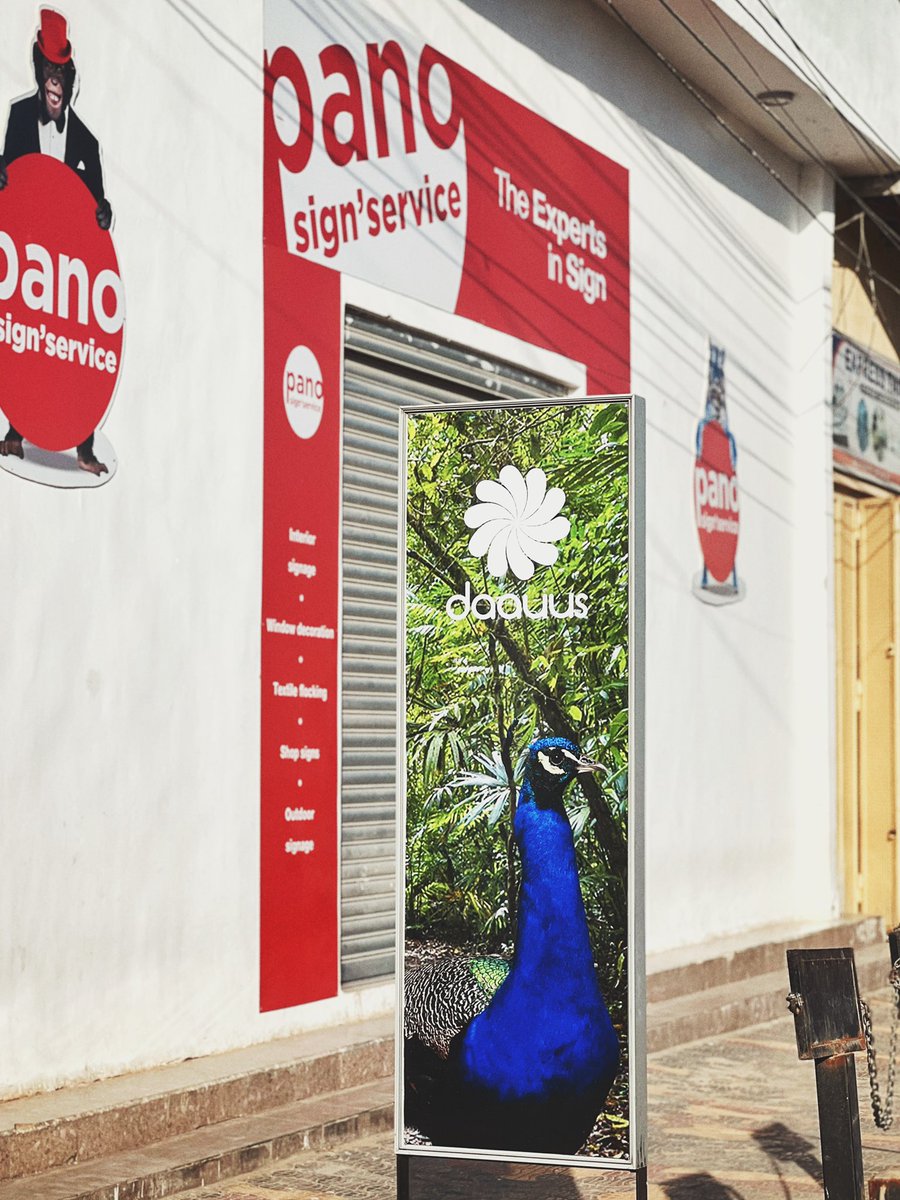 Daauus Advertising Agency tweet media