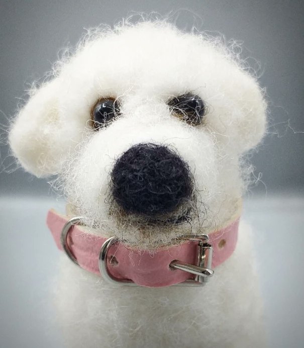 💜Meet Mollie💜Its been a while since i posted on here but I have been busy behind the scenes creating this wonderful order. Mollie is super cute with all those white curls. She has been finished off with a gorgeous pink collar and will be heading to her new home this week xx