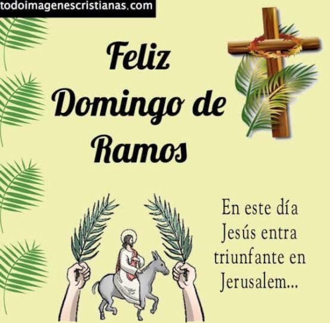 #DomingoDeRamos Hoy en la Iglesia Nuestra Señora de Coromoto, se realizarán 3 misas en estos horarios:

7:30am, 10:00am y 5:00pm 

Recuerda llevar mascarilla y cumplir las normas de bioseguridad durante las celebraciones eclesiásticas de esta #SemanaSanta2022