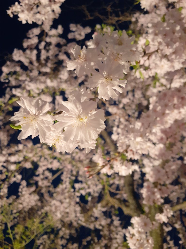 DLX_mitsuki's tweet photo. https://t.co/MTTkbI2p2G