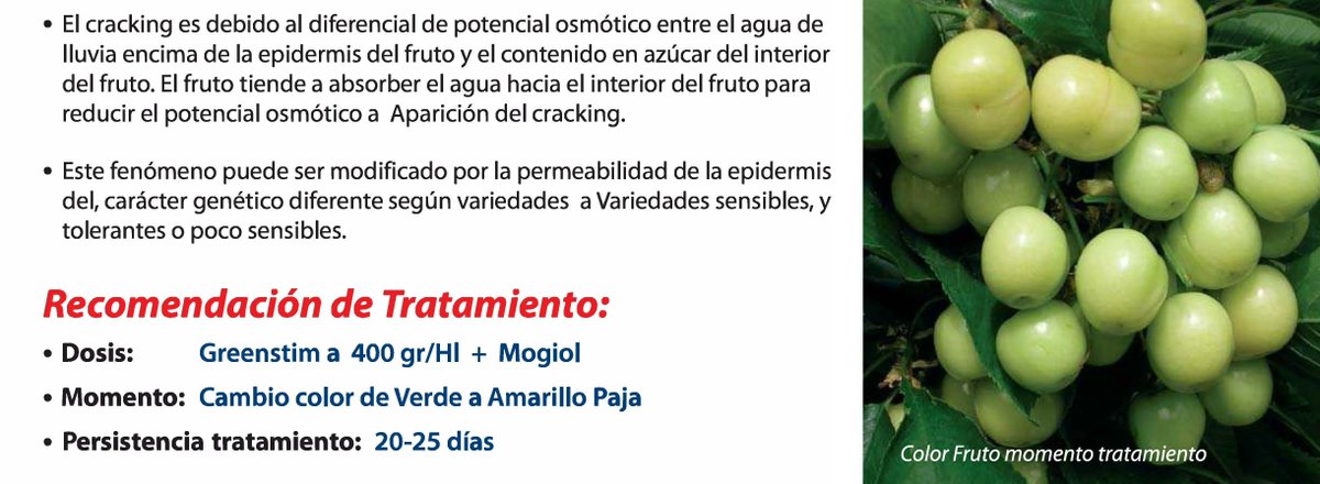 silosdelcinca's tweet photo. Se acerca el momento para aplicar #Greenstim a los cerezos. Es una forma eficaz de reducir los daños por cracking en las cerezas provocado por las lluvias. #SilosDelCinca https://t.co/nHI8BTkG7K