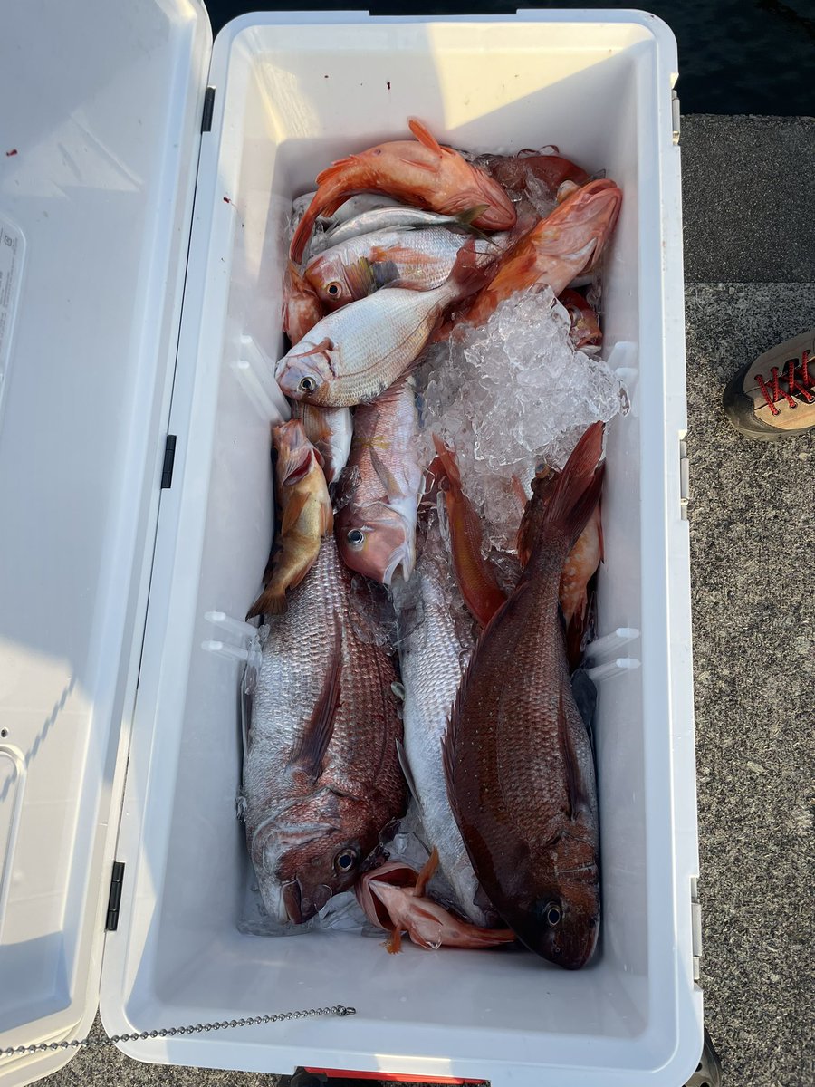 yjtkd4's tweet photo. 今日もマイボートで日本海へ🎣
朝イチから調子良くタイが釣れたのに
昼からは拾い釣り😓
夕方青物に期待したけどまさかのイルカ🐬
イルカショーを見ながら納竿でした😅
結果は赤物ばっかりやったけど4人でなら
十分な量でした👍
#シマノ
#エンゲツ
#タイラバ
#日本海
#城崎温泉マリーナ
#マイボート https://t.co/nIbr8TcRvV