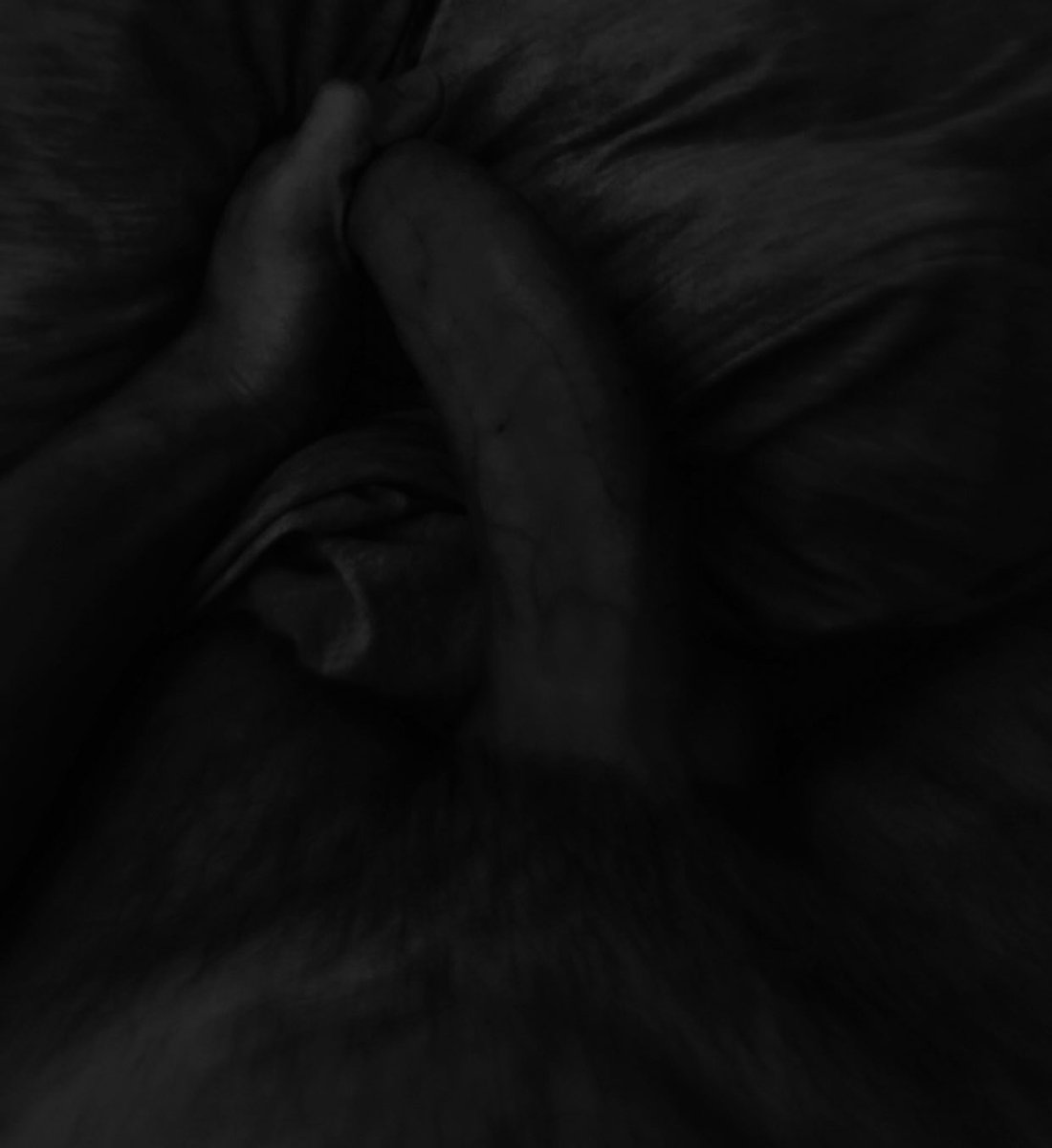 Estoy bussy, meto la nariz en mucho business borracho de Guiness como un puto dublinés. Esclavo de mi pasado, dueño de mi destino, 𝐝𝐢𝐚𝐛𝐥𝐨 𝐬𝐢𝐧 𝐚𝐛𝐨𝐠𝐚𝐝𝐨, 𝐚𝐫𝐜𝐚́𝐧𝐠𝐞𝐥 𝐜𝐚𝐢́𝐝𝐨. 𝐊𝐓.