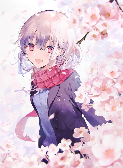 🌸🌸🌸 