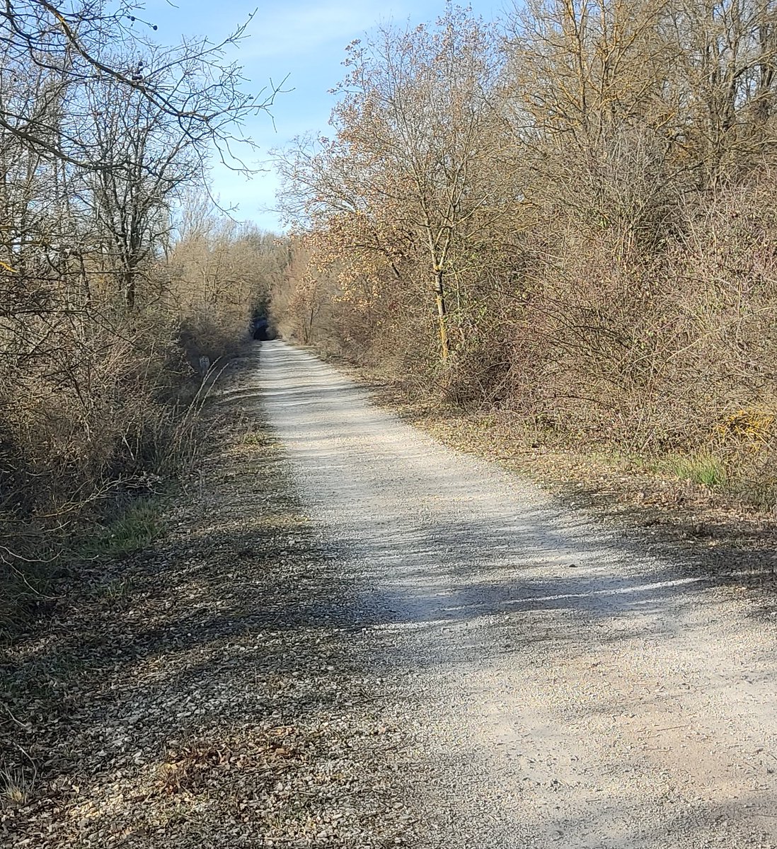 Os puedo asegurar que los de <a href="/NocturnaModubar/">Nocturna de Modúbar</a> ya han montado el túnel de Modubar 🤣🤣. Todavía quedan dorsales!!!!