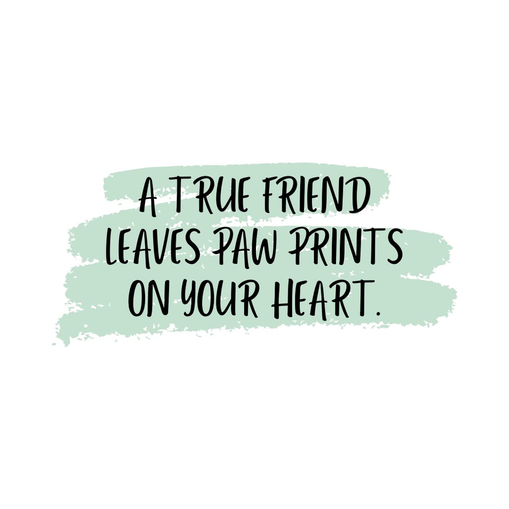 KThompsonLLC's tweet photo. Did you know that April is National Pet Month? Do you have a special pet in your life who leaves paw prints on your heart? If so, drop me a 🐾 and their name in the comments.       

#nationalpetday #petsforlife #petsarethebest https://t.co/Ar0aBVLyK8