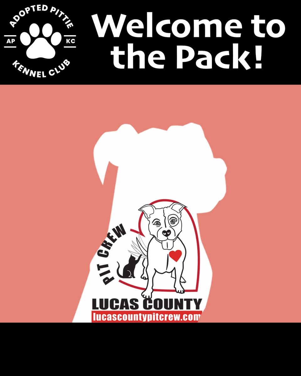 AdoptedPittieKC's tweet photo. #APKC is excited to have the Lucas County Pit Crew in our pack! We're raising $1,000,000 for them and 9 other rescues. Thank you for all you do for our favorite block headed breed! Learn more by visiting https://t.co/47GZeOsBm7
#Pitbull #bullybreed #pitbulladvocate #NFTCommunity https://t.co/U7qE9J08Iu