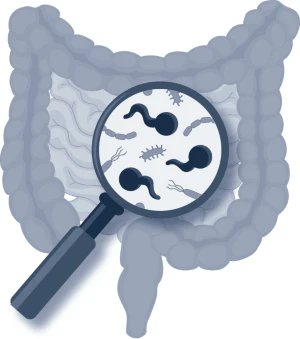 "Fungal strain-dependent inflammation in IBD" a Research Highlight article summarising the results from: Li, X. V. et al. Immune regulation by fungal strain diversity in inflammatory bowel disease. Nature 603, 672–678 (2022) - Read here: rdcu.be/cKWL1