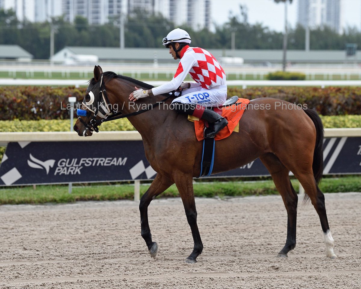 EdwinGonzalz1's tweet photo. #8Apr No Valla and @EdwinGonzalz1 capture race 8 at #GulfstreamPark on tapeta surface for trainer J. Kent Sweezey @SweezeyK
Thanks and congratulations to owner No Valla LLC.
1️⃣ first victory for Edwin González #RoyalPalmMeet 2022
📸 @coglianesephoto https://t.co/FVg3bVcfAv