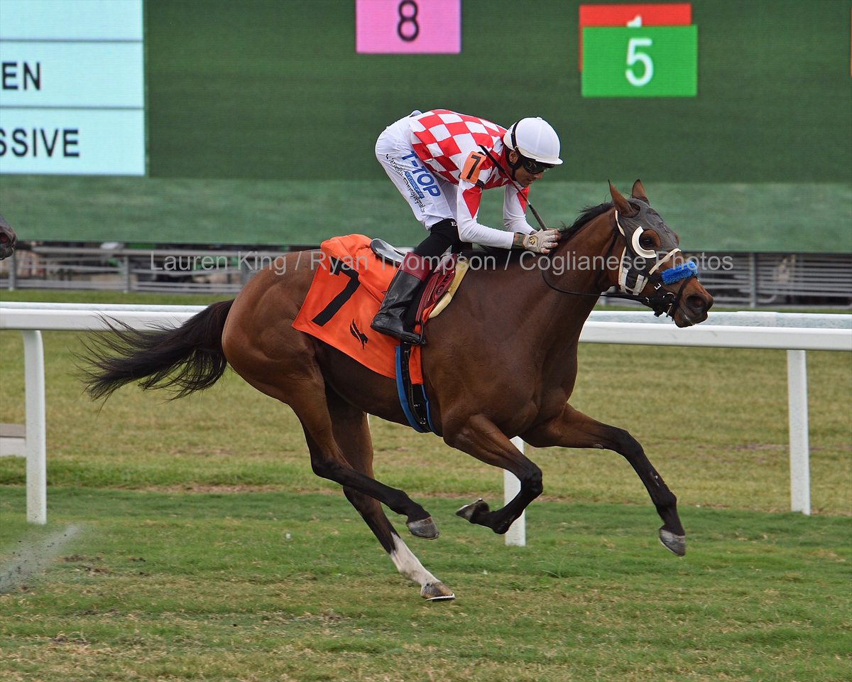 EdwinGonzalz1's tweet photo. #8Apr No Valla and @EdwinGonzalz1 capture race 8 at #GulfstreamPark on tapeta surface for trainer J. Kent Sweezey @SweezeyK
Thanks and congratulations to owner No Valla LLC.
1️⃣ first victory for Edwin González #RoyalPalmMeet 2022
📸 @coglianesephoto https://t.co/FVg3bVcfAv