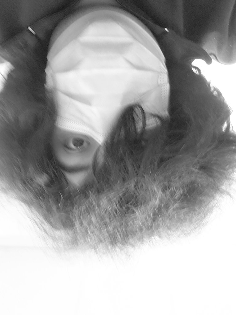 Gabriel Eckmann Montano tweet media