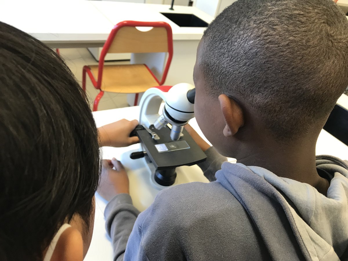 Ecole Trégain tweet media