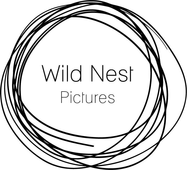 tombrittney's tweet photo. Give @wildnestpics a follow on twitter and Instagram. And our website is now live! https://t.co/hOQcT2aORT https://t.co/c6BB7ekzSr