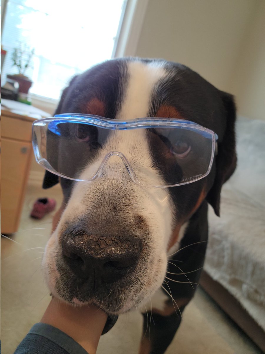 Darlene Tad-y tweet media