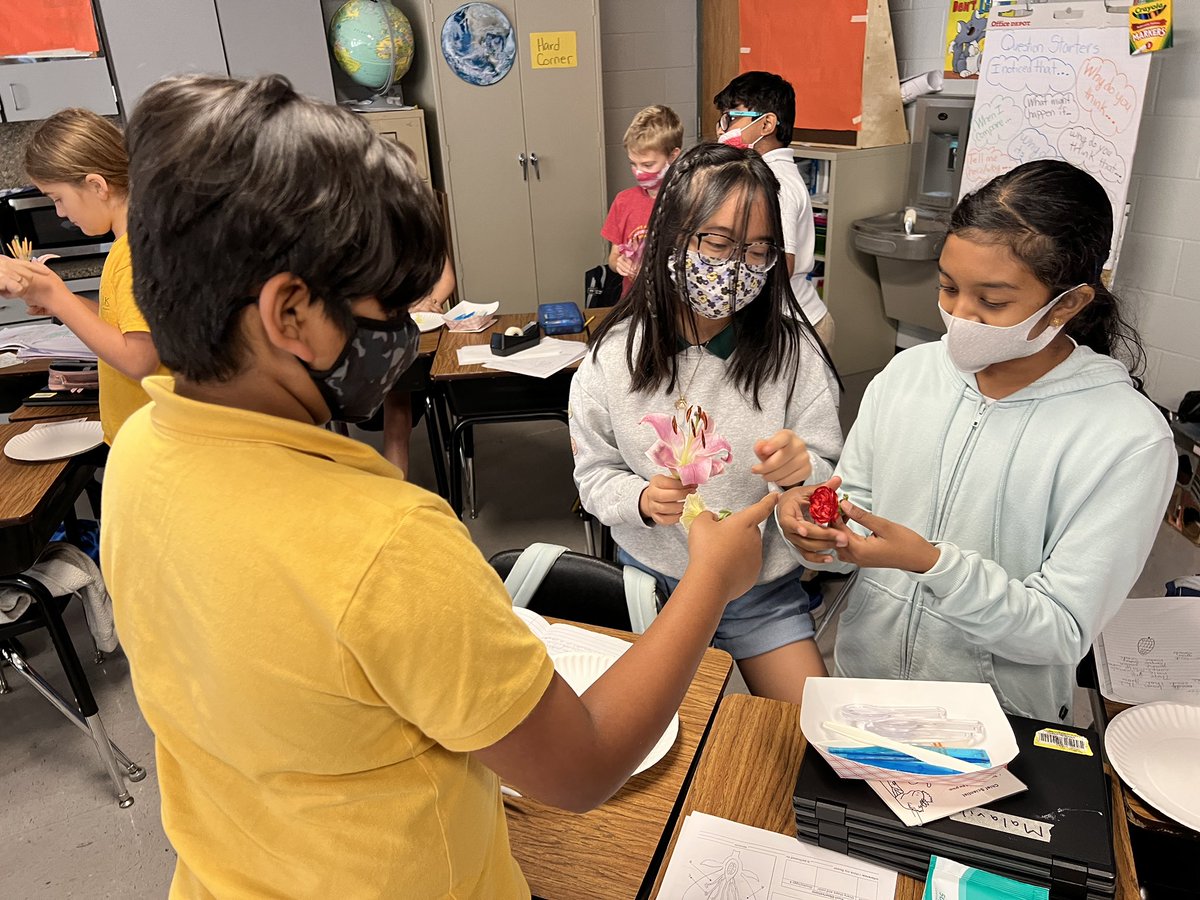 Deer Park Rangers investigate flower structures and learn about how flowers reproduce.  <a href="/HillsboroughSch/">Hillsborough Schools</a> <a href="/WeAreHAEST/">HAEST</a>