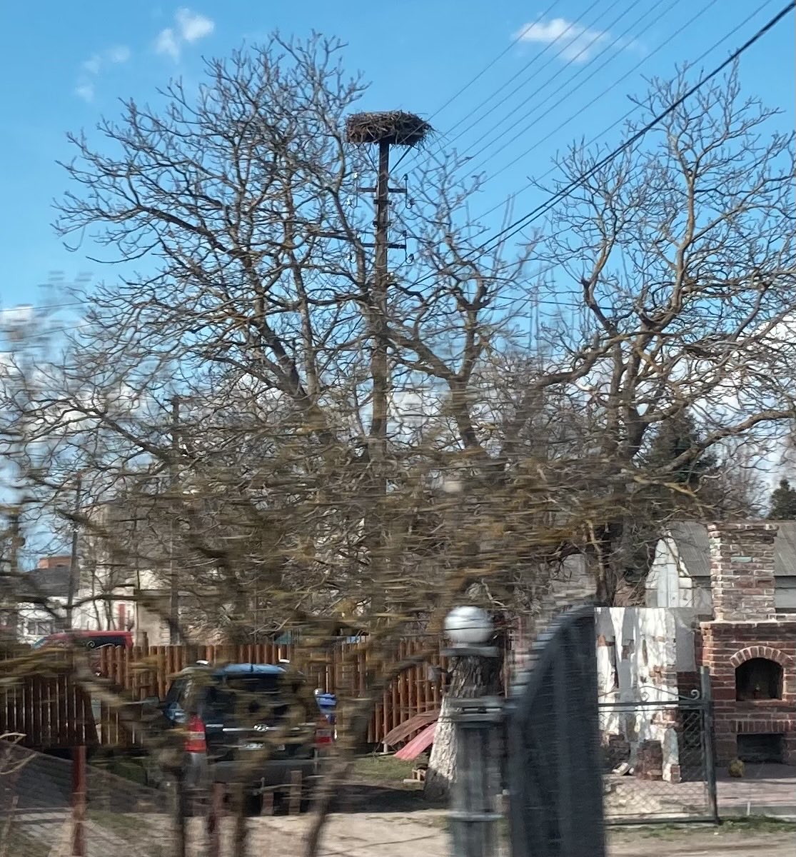 JohnSimpsonNews's tweet image. Snatched photo (for which apologies) of a stork’s nest on a telegraph pole in a Ukrainian roadside village. A common sight in Central Europe. If storks build a nest on your roof, it’s regarded as very lucky.