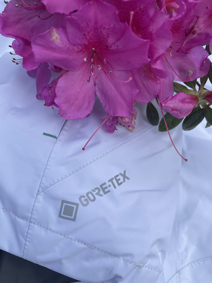 Plugged In Golf tweet media