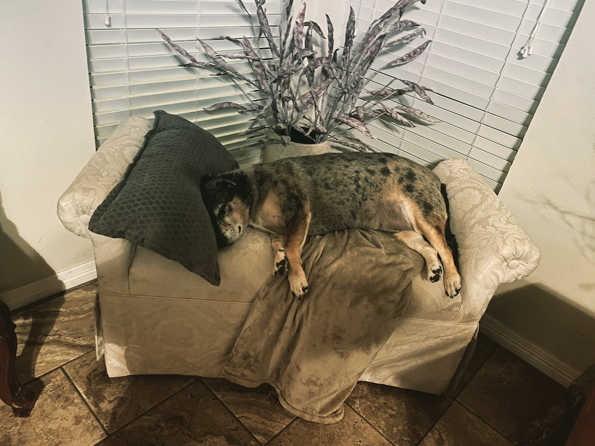 Sugar might be a little spoiled