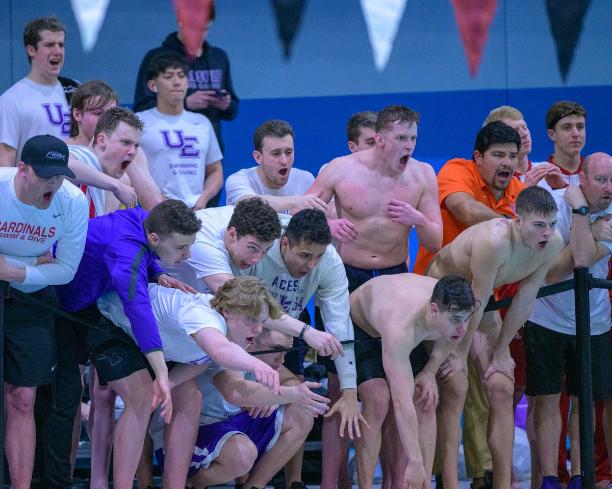 UE Swim & Dive tweet media