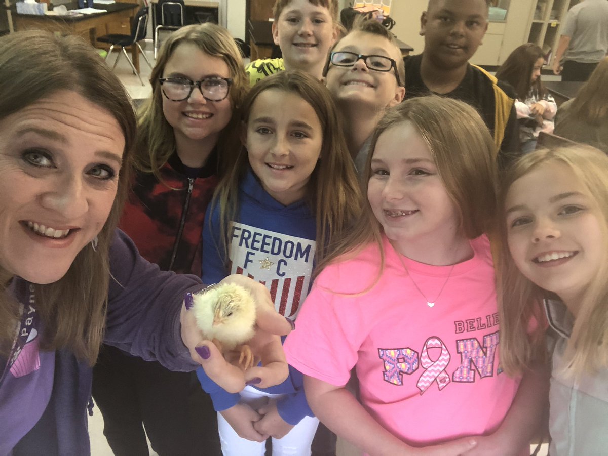 Kelsey Payne tweet media