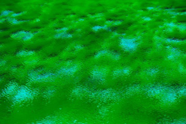 NFStevie2's tweet photo. @YamashitaPhoto @SuperRare Here's photo #59 that I own from @YamashitaPhoto second collection, The Four Seasons of Jiuzhaigou. 

Love that you can hardly tell whether its a photo or a watercolor! Absolutely mesmerizing!
#fotofriday https://t.co/kTOTuACC9b