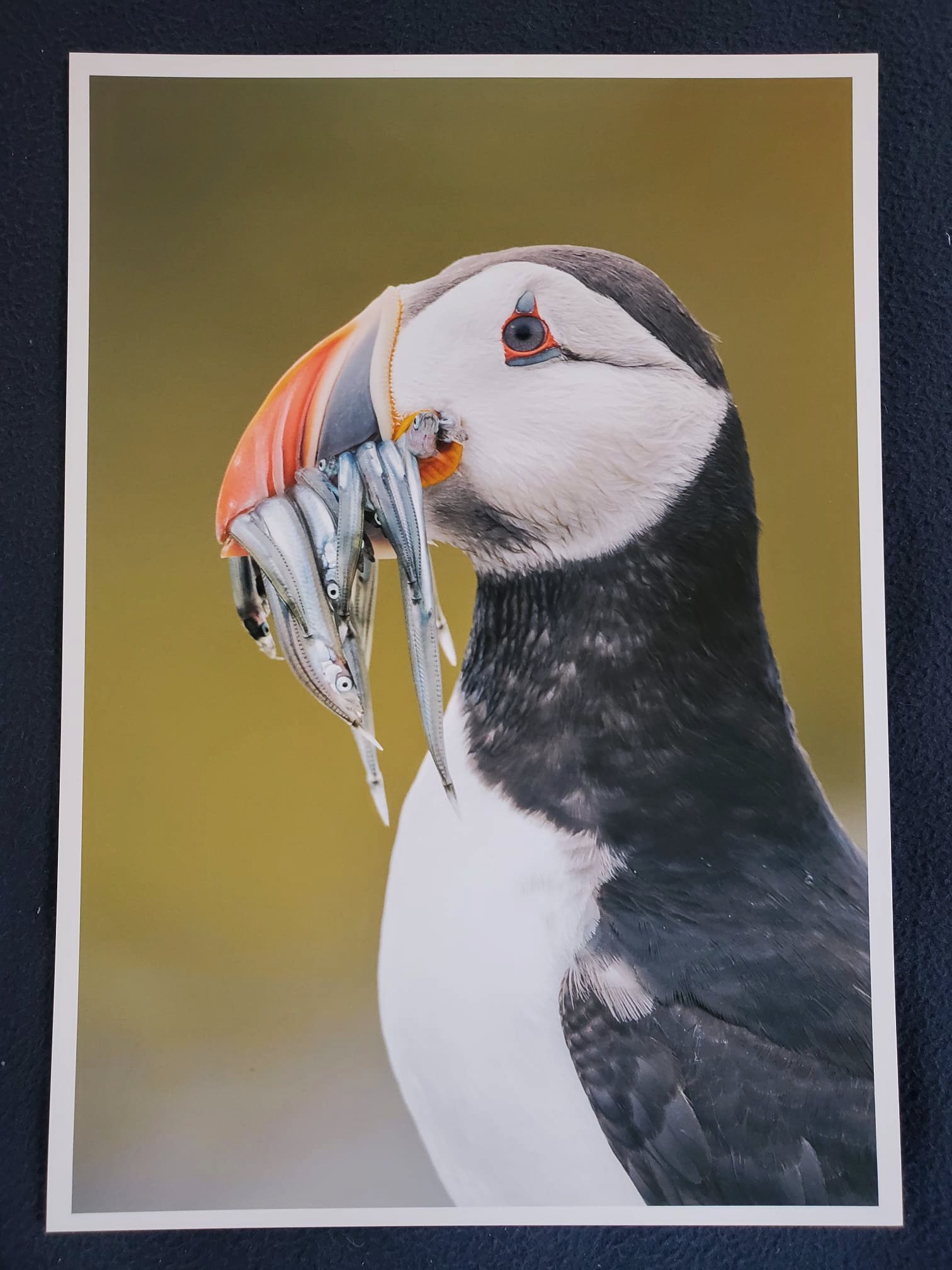 Sam Langlois on Twitter: