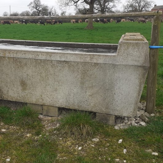 TB_Advisory's tweet photo. Spring is here! Which means turn out time for many, do you know what has been drinking out of your livestock troughs over winter? It’s time to find out and make sure it is only your livestock.
#tbadvisoryservice #tbadvice https://t.co/xUiOGwWLXO