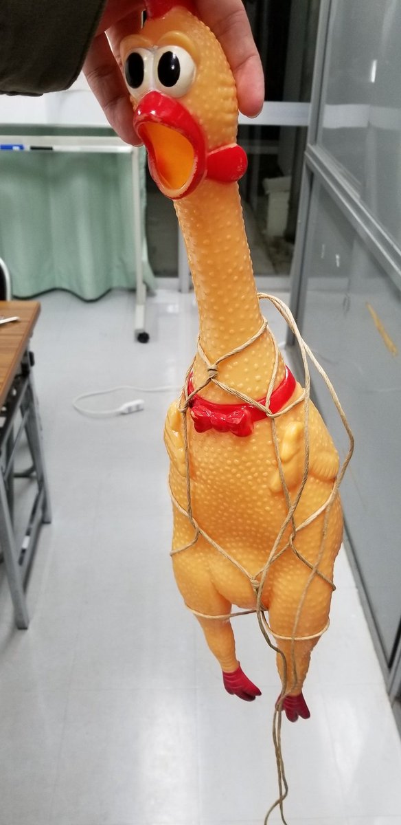 NoContext_LiSA's tweet photo. https://t.co/KYoDs6hArK