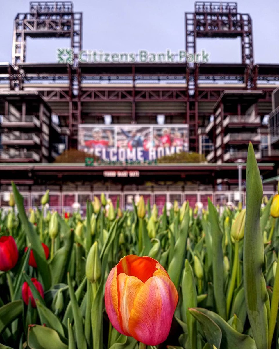 It's time to play ball, <a href="/Phillies/">Philadelphia Phillies</a>. Happy opening day! #RingTheBell ⚾

View this season's schedule and get out to a ballgame ➡ atmlb.com/3x4YbsY

#discoverPHL photo by miserylovesbacon (Instagram)