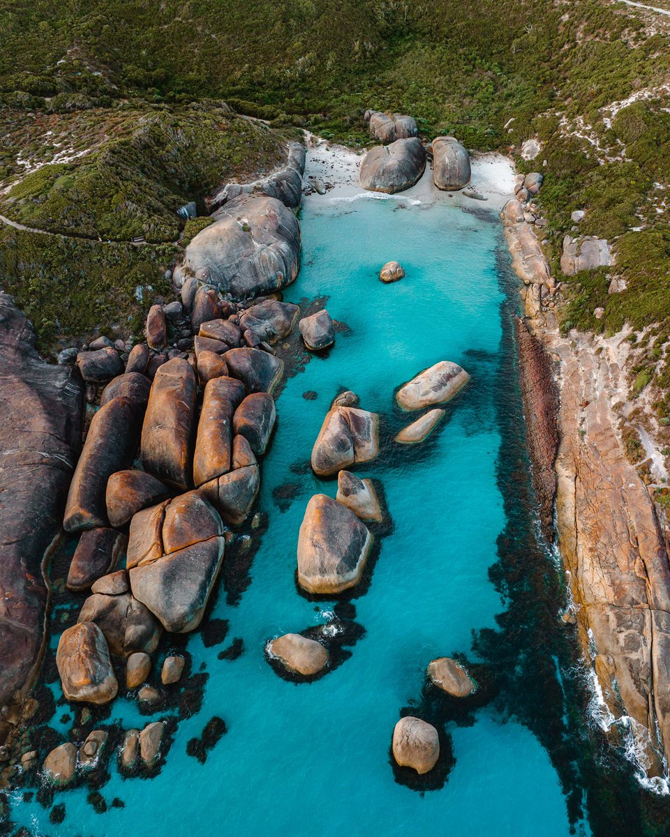 Dylan Alcock tweet media