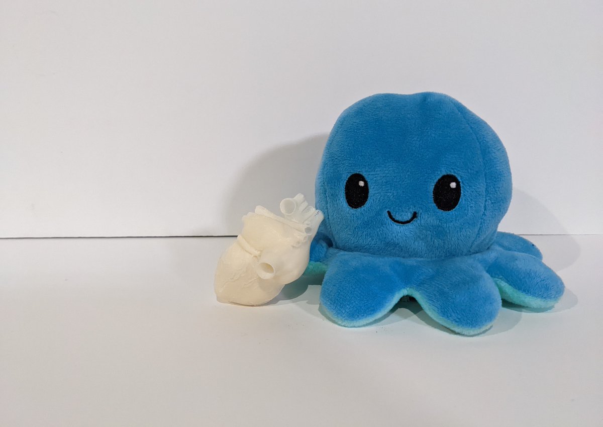 Congenital heart disease (CHD) affects tens of thousands of children each year. That's why <a href="/umnmedschool/">UMN Medical School</a> partnered with <a href="/UofMDesign/">College of Design</a> to create a product that teaches diagnosed children about CHD and helps ease parental stress.

Read more: design.umn.edu/news/demystify…