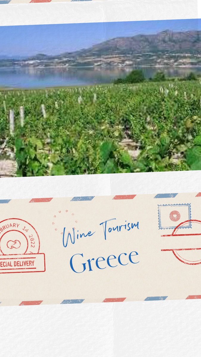 winerience's tweet photo. RT @LizPalmer_: Wine Tourism is top priority for the Greek Tourism Ministry
#greekwine #greece #greekwinetourism #winetourism #winelover #winenews
#drinkgreekwine #madeingreece #winesofgreece #winetasting #winelovers #greekwinelovers #travelling #winel… https://t.co/890QlhwX63