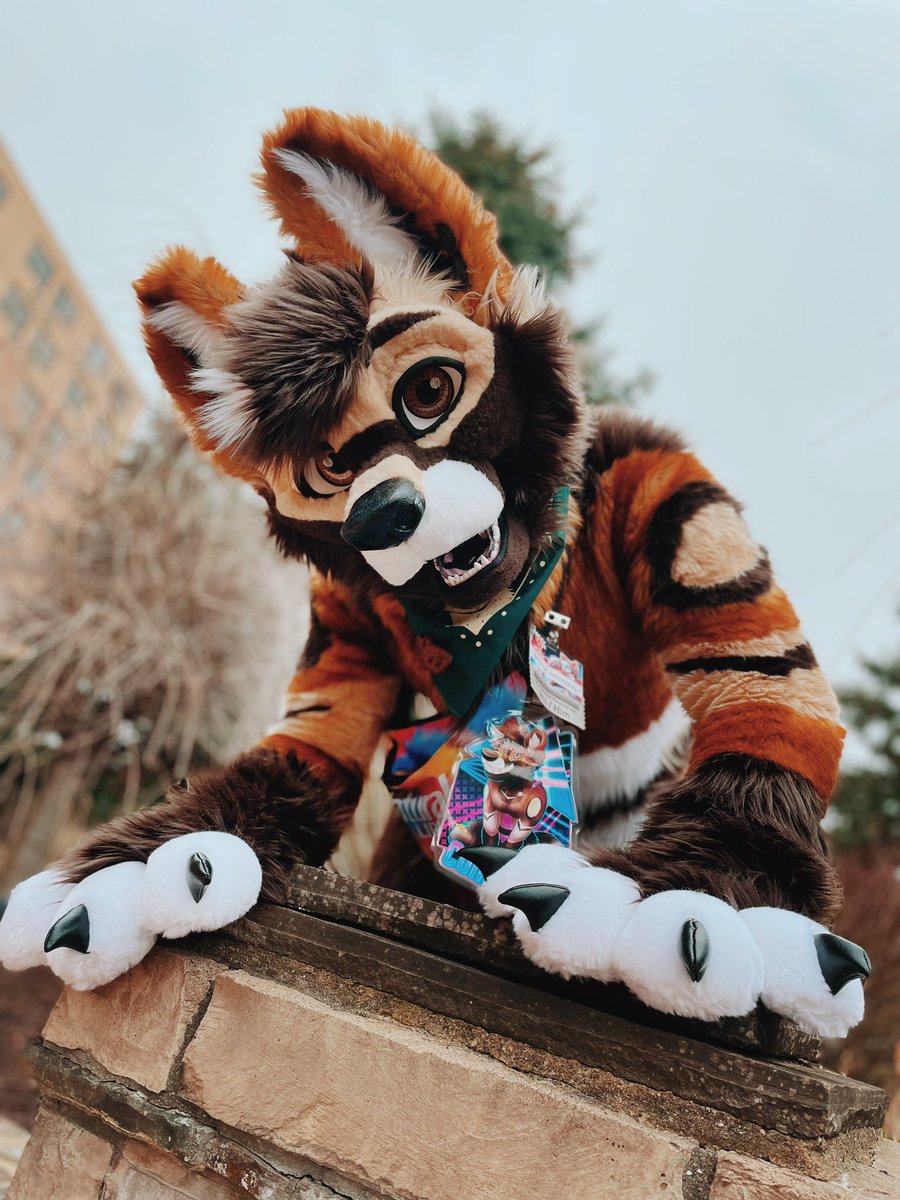 Cloudian0's tweet photo. Happy Fursuit Friday everyone!!!
🪡 @FurryMachine
📸@Rossyboiphotos edits by me
🏷 #furrymachine #fursuitfriday https://t.co/KsY6vLvpP7
