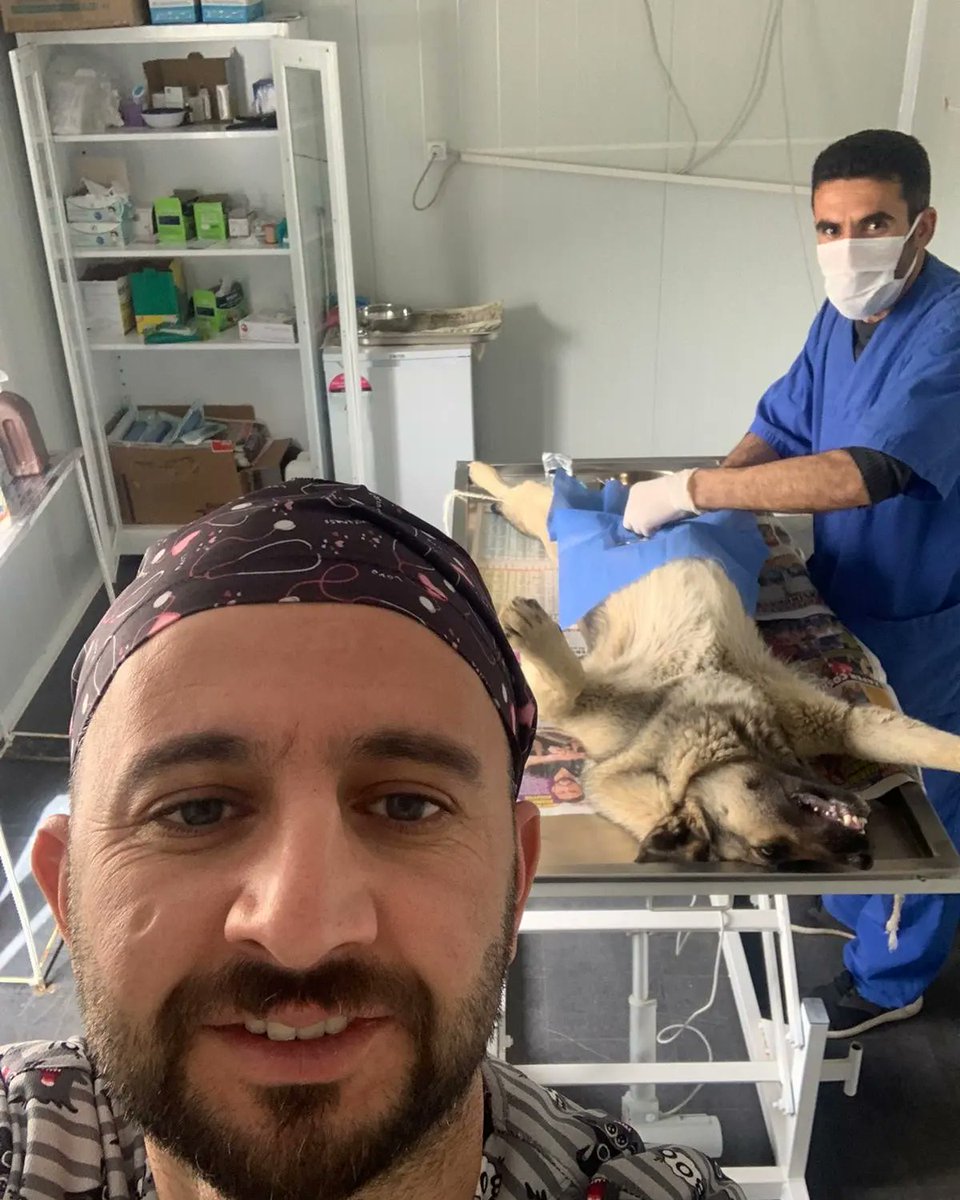 SemHayDer's tweet photo. Kısırlaştırma ve sağlık taramalarından bugünden kalanlar... 
#CanDostlarımız 
@HakkariValiligi
@idrisakbiyik
@GSemdinli
@SemdinliBldyesi
@haytap https://t.co/rVzJbOvdbd
