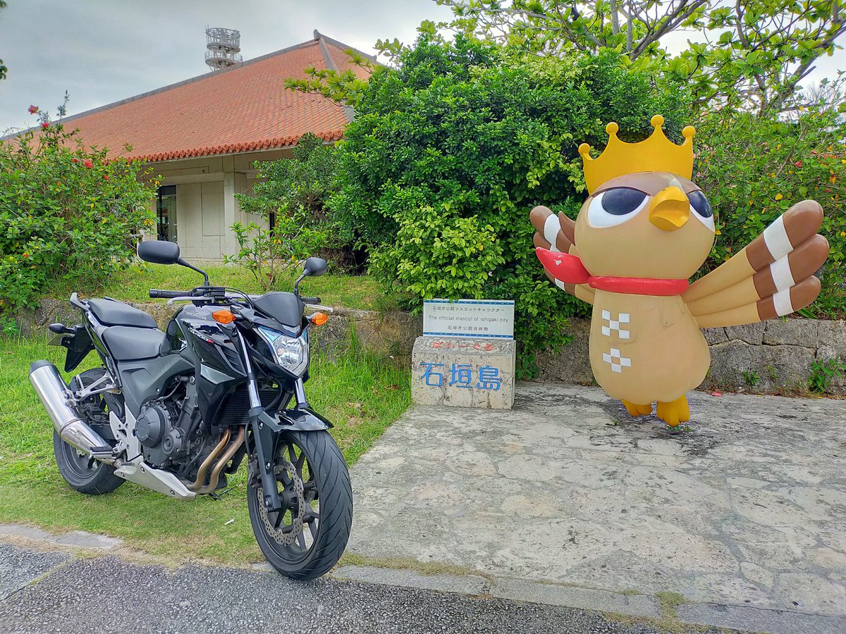 osprey_SDF's tweet photo. 昨日はオレの日だったのか

#4月7日はNC47の日
#CB400F
#カンムリワシ https://t.co/NSIseBYHJG
